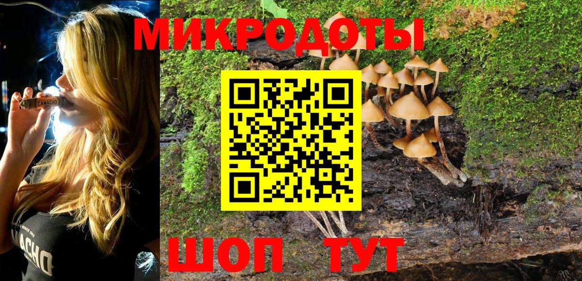 Галлюциногенные грибы GOLDEN TEACHER Димитровград