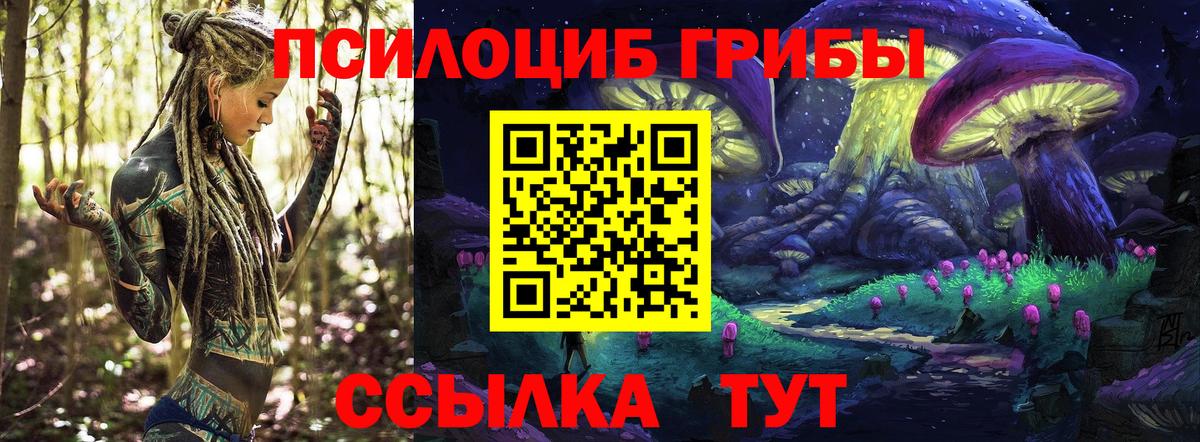 Димитровград  Галлюциногенные грибы ЛСД  Вход с VPN  Галлюциногенные грибы ЛСД 